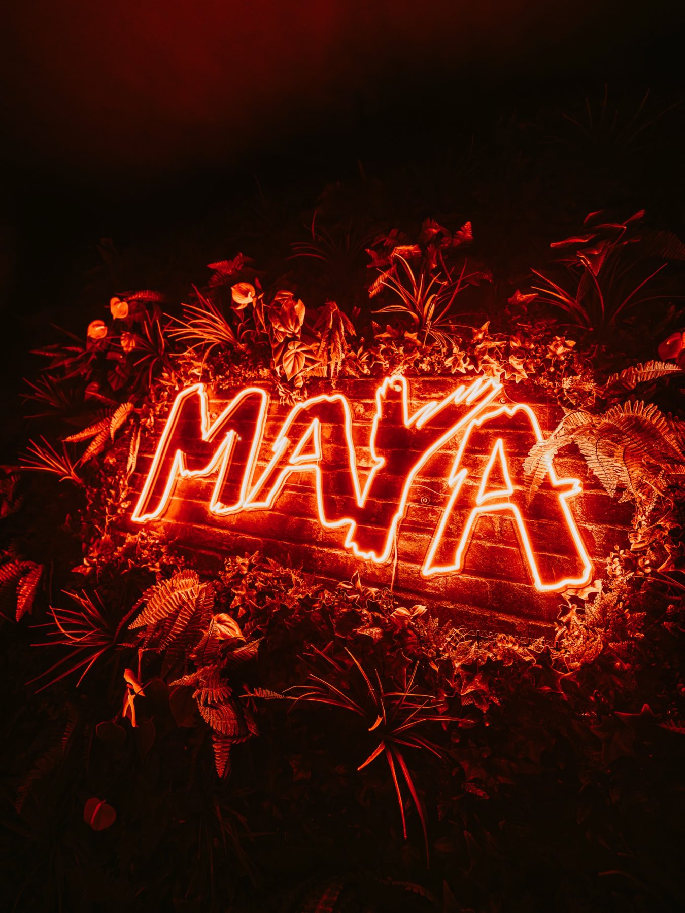 Organisateurs de soirées (Val-de-Marne) : Maya